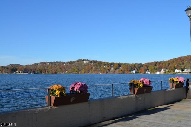 dock area featuring a water view