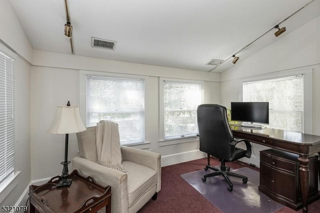 office with lofted ceiling and dark colored carpet