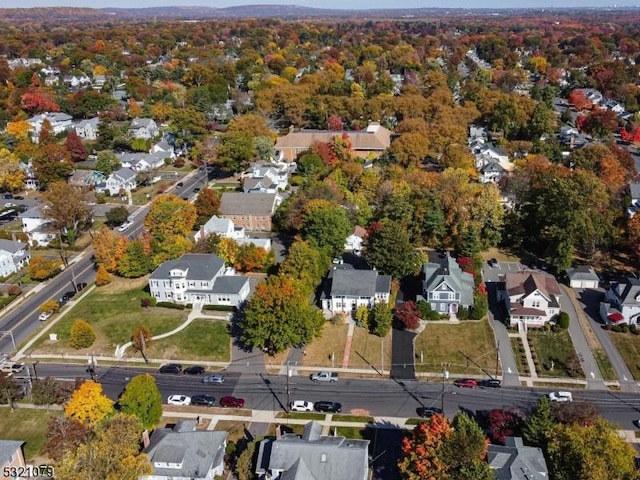 bird's eye view