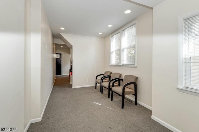 sitting room featuring carpet flooring