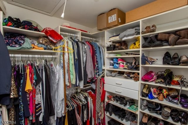 view of walk in closet