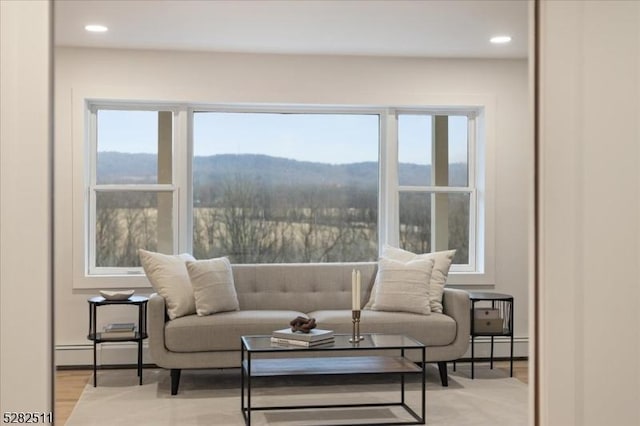 interior space with a mountain view and light hardwood / wood-style floors