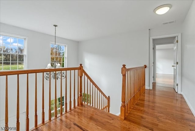 hall featuring light hardwood / wood-style floors, a chandelier, and a healthy amount of sunlight