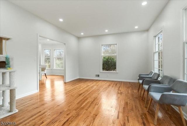 living area featuring light hardwood / wood-style floors