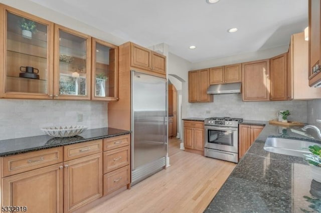 kitchen with appliances with stainless steel finishes, sink, light hardwood / wood-style flooring, and dark stone counters