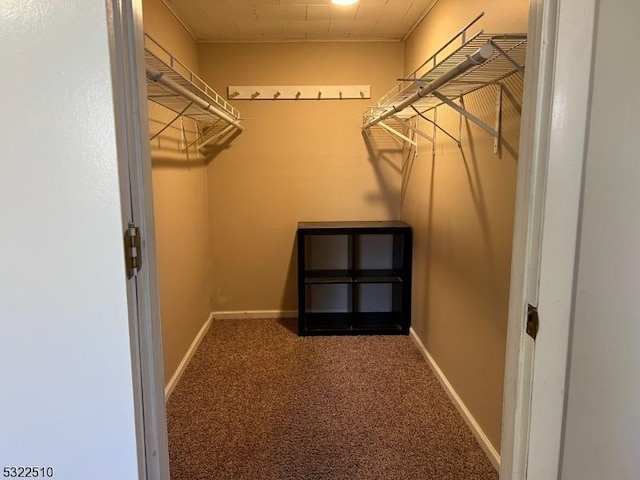 spacious closet with carpet flooring