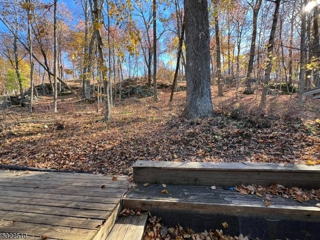 view of yard featuring a deck