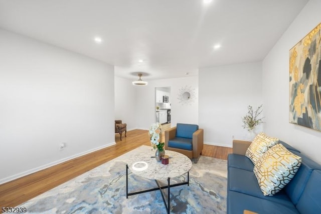 living room with wood-type flooring