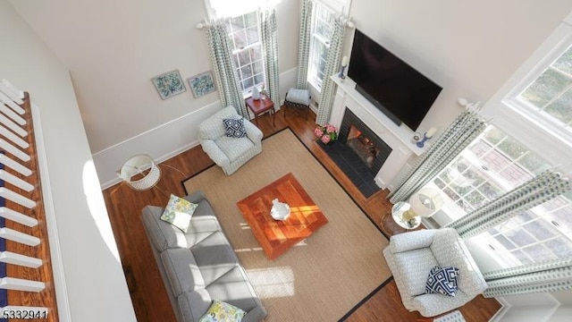 living room with hardwood / wood-style floors