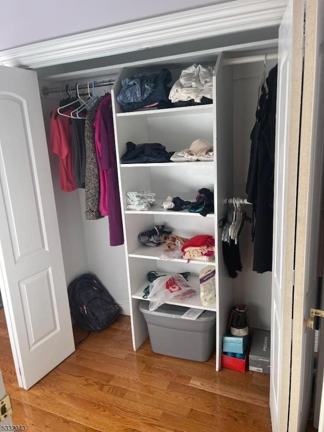 view of closet