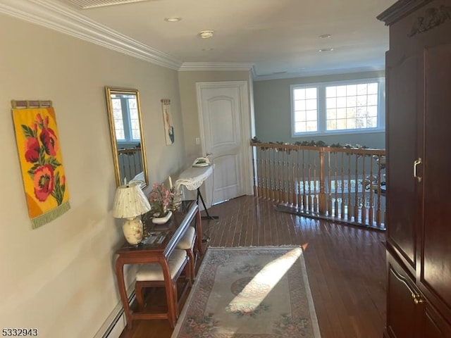 hallway featuring dark hardwood / wood-style floors, crown molding, and plenty of natural light