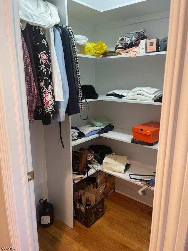 spacious closet featuring hardwood / wood-style flooring