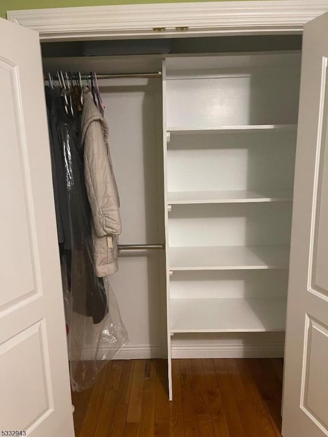 view of closet