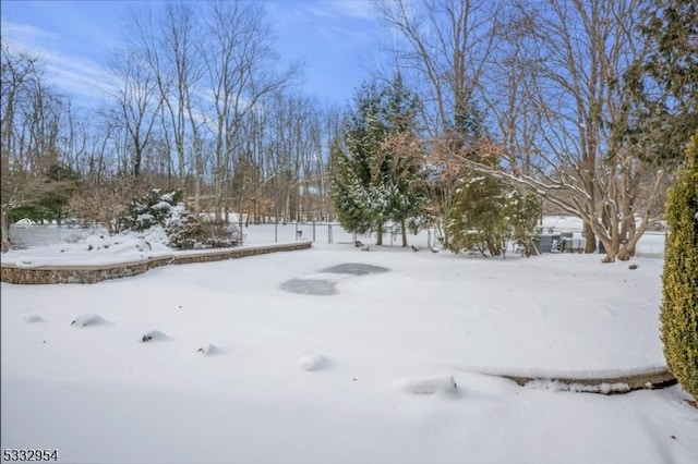 view of snowy yard