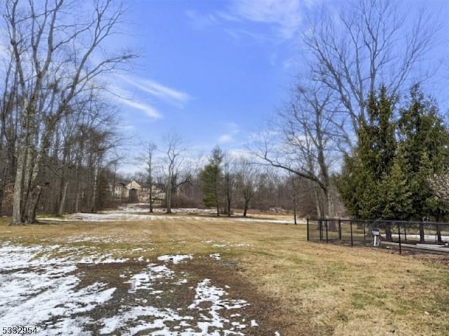 view of snowy yard