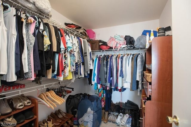 view of spacious closet