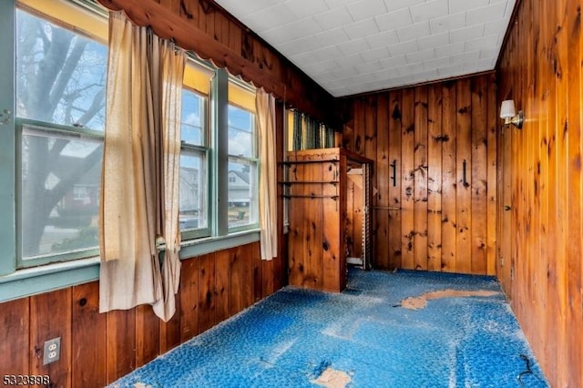 carpeted spare room featuring wooden walls