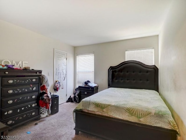 bedroom featuring carpet flooring and multiple windows