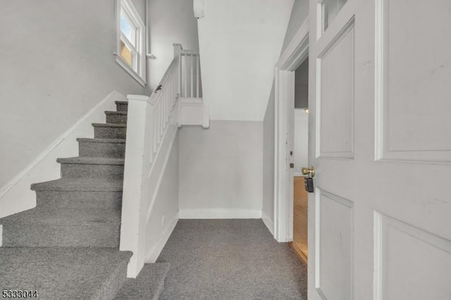 stairway featuring lofted ceiling and carpet flooring