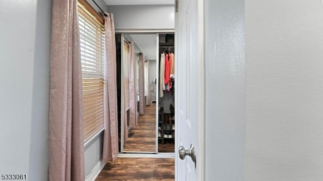 corridor with dark hardwood / wood-style floors