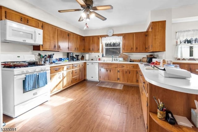 kitchen featuring sink, white appliances, light hardwood / wood-style flooring, and a wealth of natural light