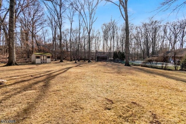 view of yard featuring a storage unit