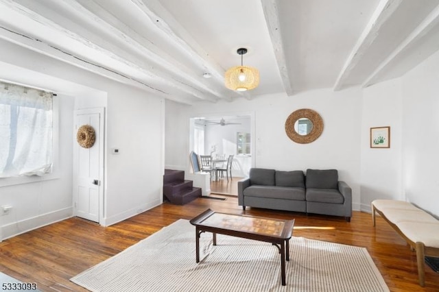 living room featuring ceiling fan, hardwood / wood-style floors, and beam ceiling