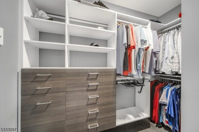 view of walk in closet