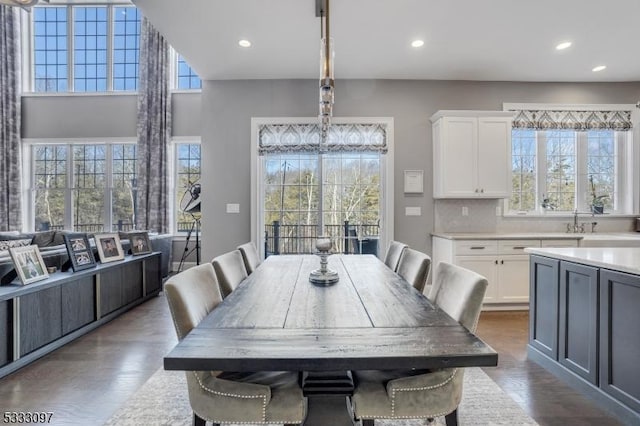 dining room featuring sink and wood-type flooring