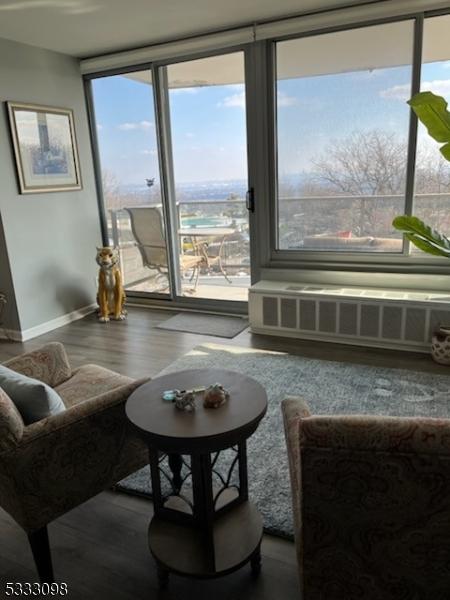 living area with hardwood / wood-style flooring, a wealth of natural light, and radiator