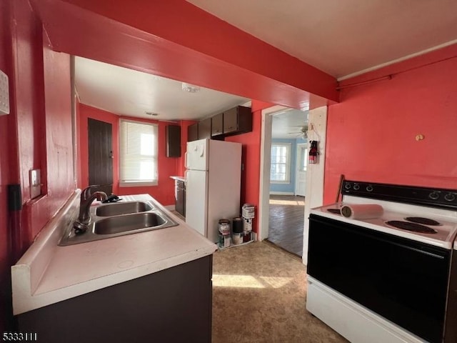 kitchen featuring plenty of natural light, sink, and white appliances