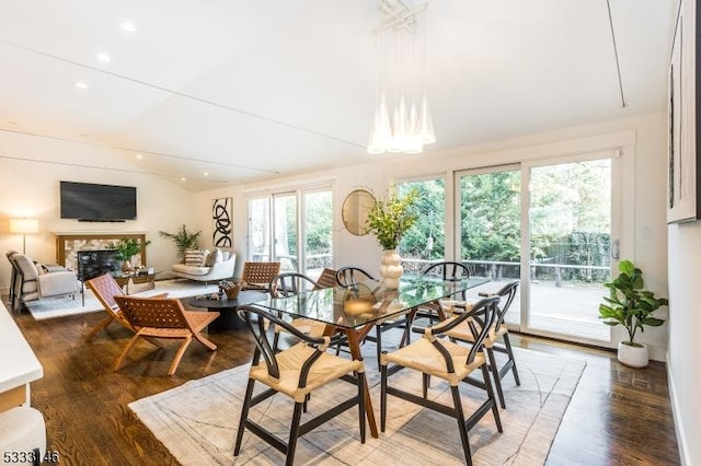 dining room featuring dark hardwood / wood-style flooring