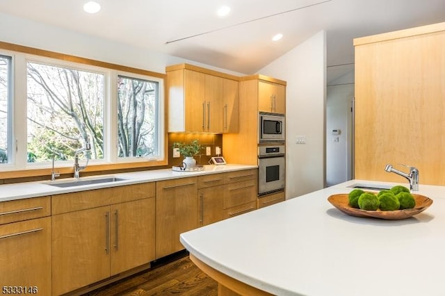 kitchen with lofted ceiling, dark hardwood / wood-style floors, sink, and stainless steel appliances