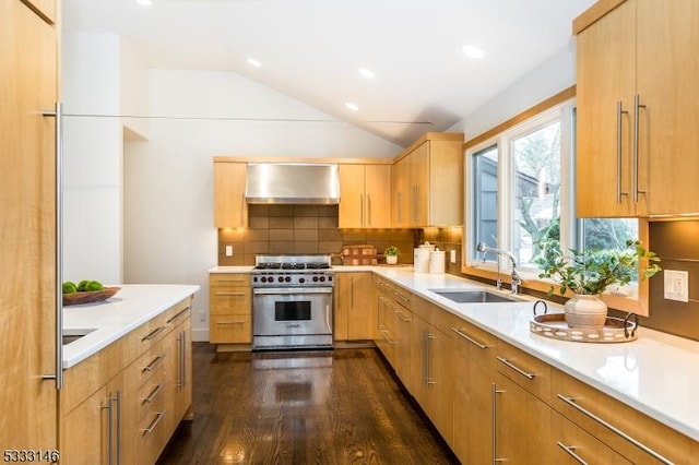 kitchen with lofted ceiling, decorative backsplash, sink, high end stainless steel range oven, and range hood