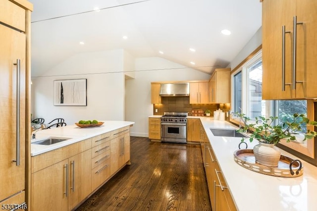 kitchen with dark hardwood / wood-style flooring, sink, backsplash, and high end range