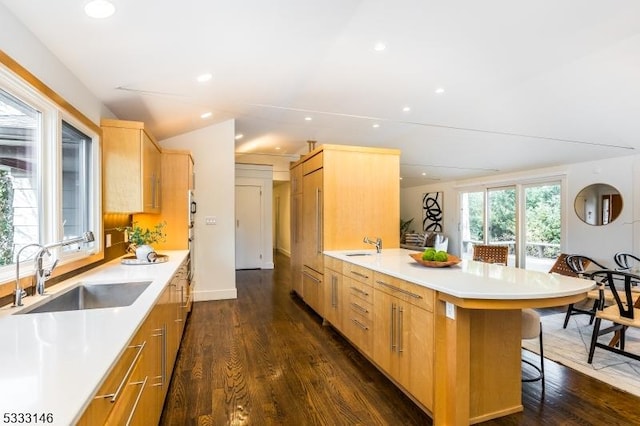 kitchen with dark wood-type flooring, sink, a breakfast bar area, and a center island