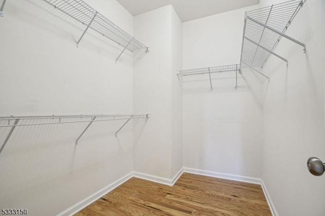 walk in closet featuring wood-type flooring