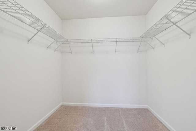 spacious closet with carpet flooring