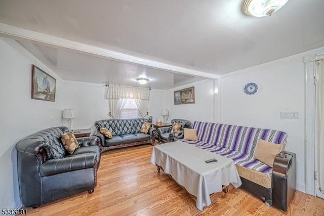 living room with wood-type flooring