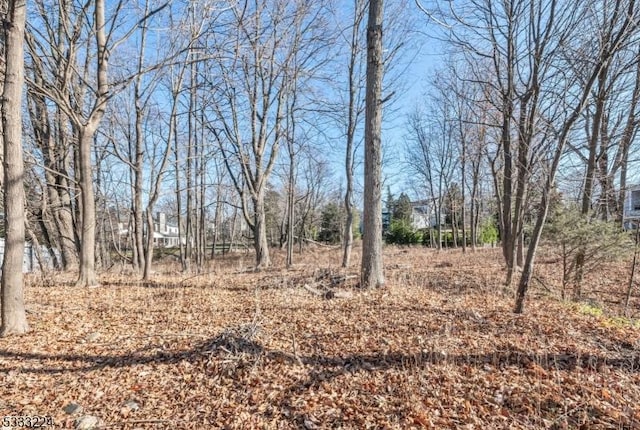 view of local wilderness