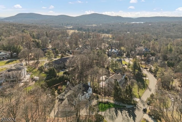 birds eye view of property featuring a mountain view