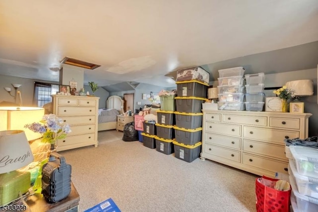 bedroom with light colored carpet