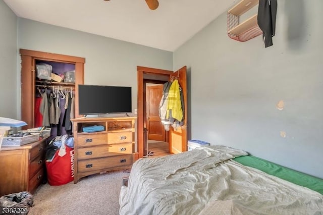 carpeted bedroom with a closet