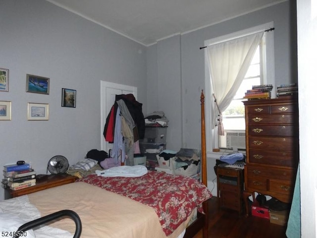 bedroom featuring wood-type flooring