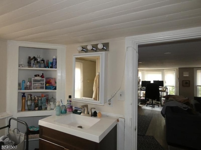 bathroom featuring hardwood / wood-style floors and vanity