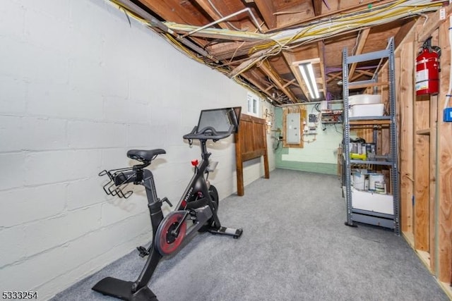 exercise room featuring electric panel