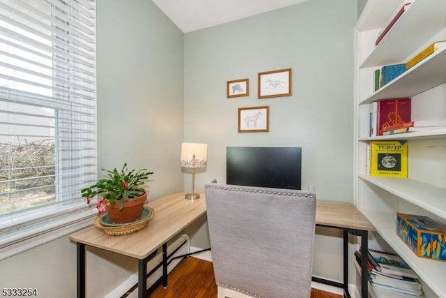 office space featuring dark hardwood / wood-style flooring and a wealth of natural light