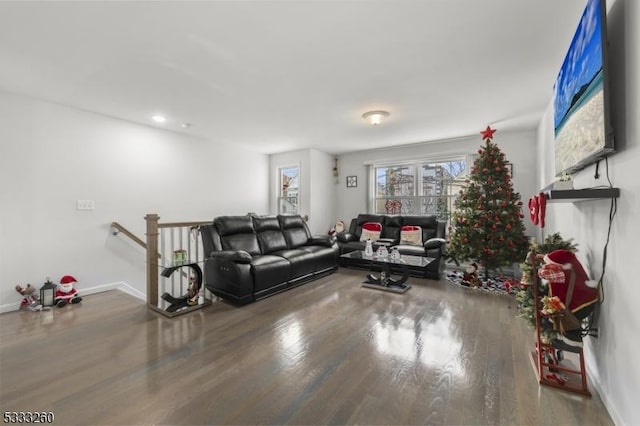 living room with wood-type flooring