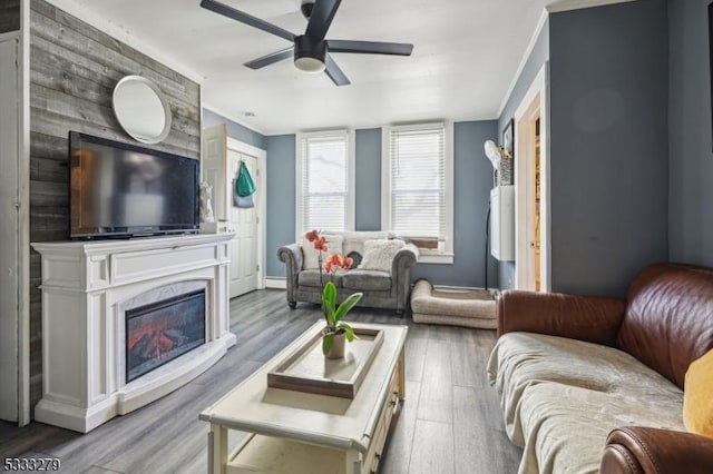 living room featuring hardwood / wood-style flooring, ornamental molding, and ceiling fan