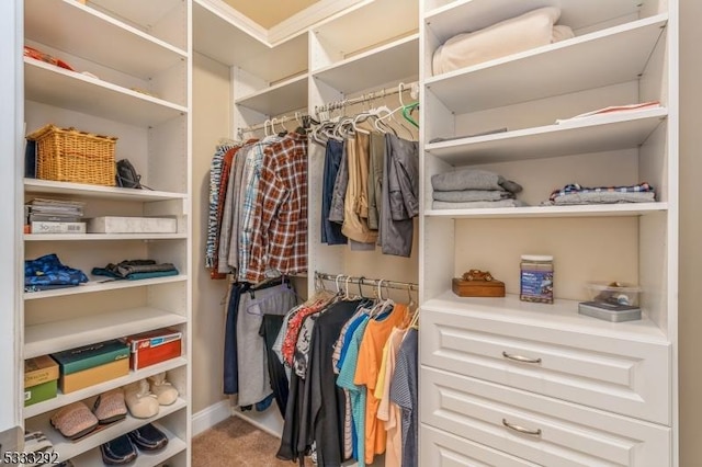 spacious closet featuring carpet floors